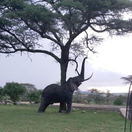 Seronera Wildlife Lodge Serengeti Exterior foto