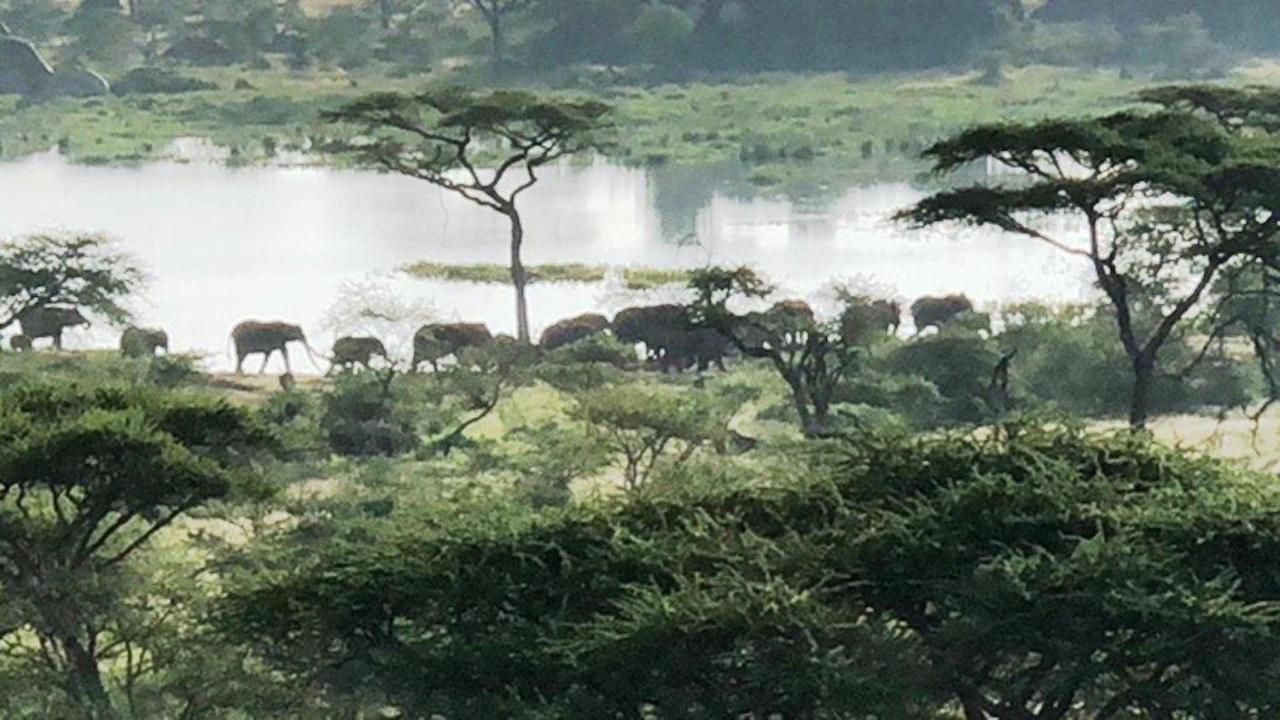 Seronera Wildlife Lodge Serengeti Exterior foto